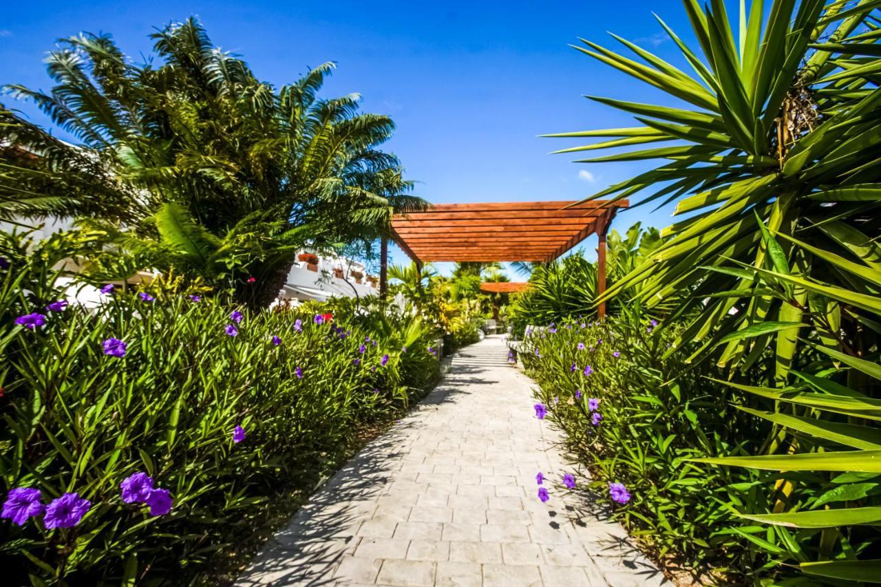 Parque Don Jose Apartment Costa Del Silencio Eksteriør bilde